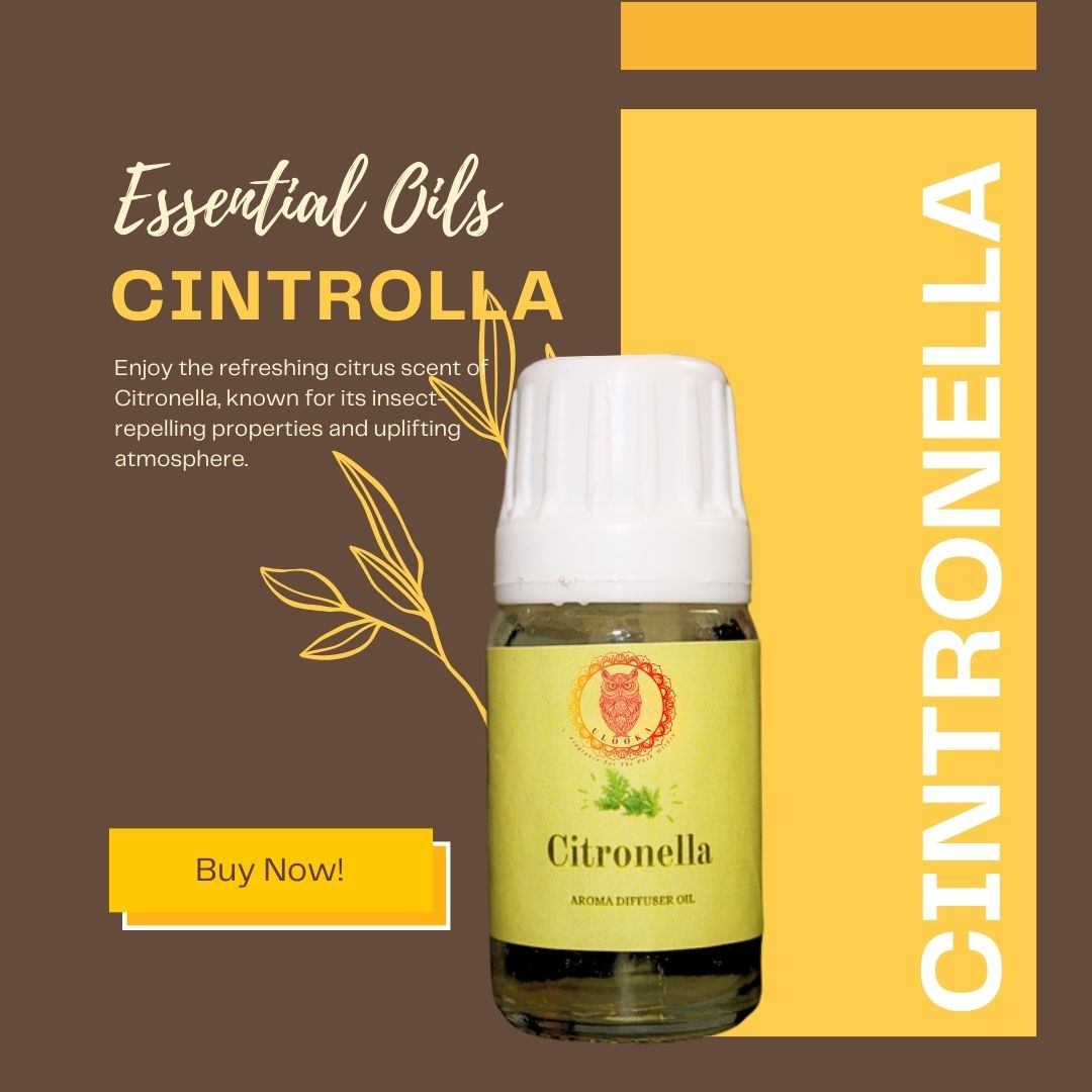 Citronella - Pure Essential Oil 10 ml - Ulooka Incense